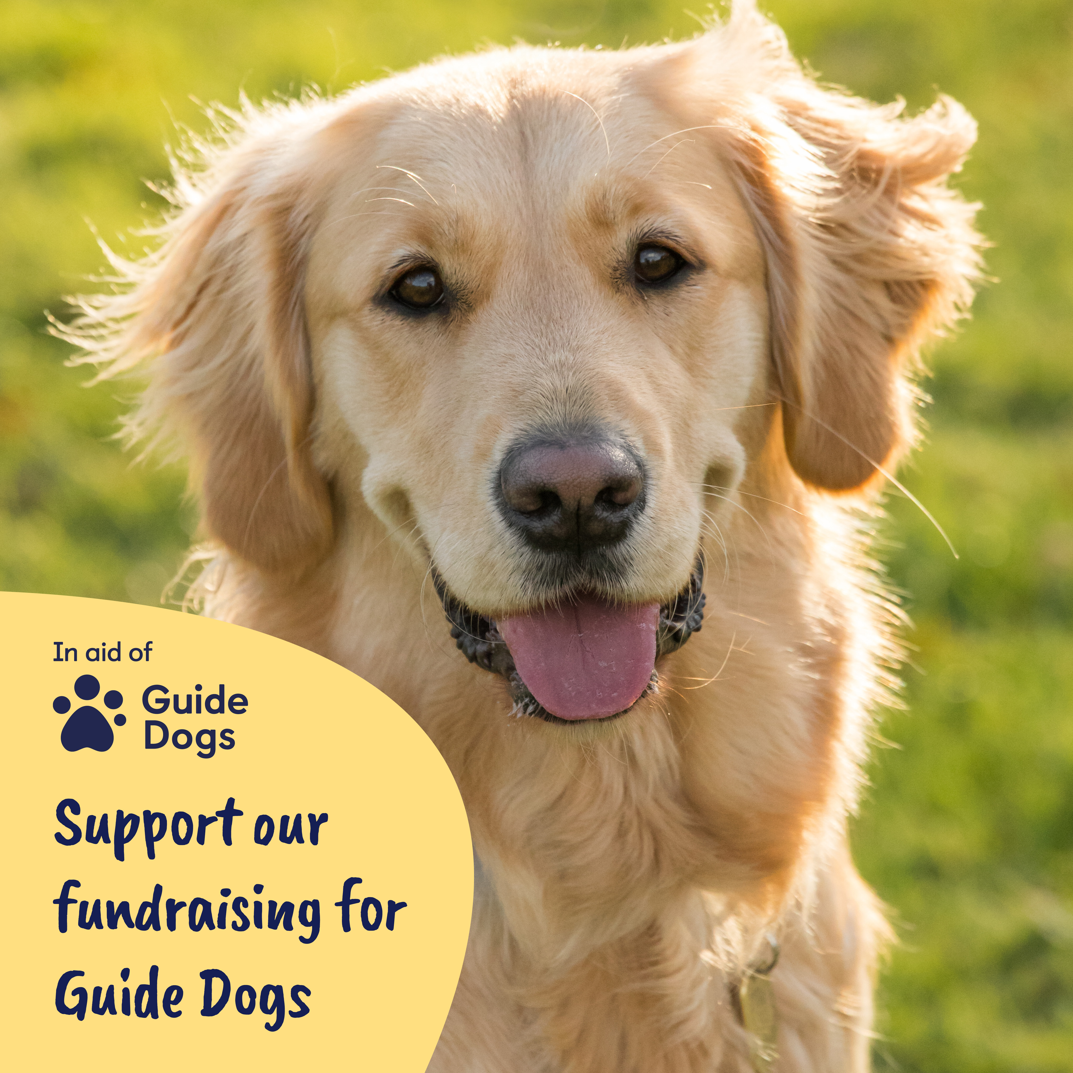 support-our-fundraising-for-guide-dogs---image